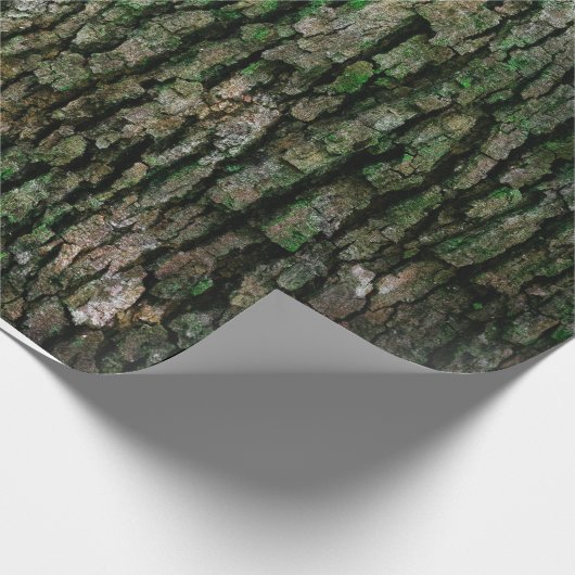 Structuur van de boomschors cadeaupapier (Hoek)