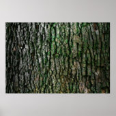 Structuur van de boomschors poster (Voorkant)