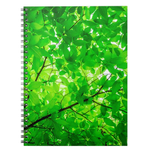 Structuur van de boomtak van het blad notitieboek (Voorkant)
