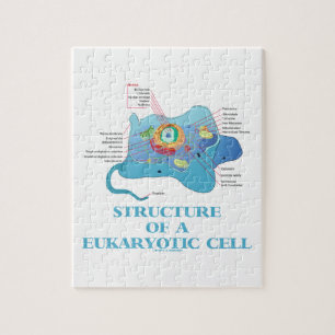 Structuur van een Eukaryotische cel (Eukaryote) Legpuzzel