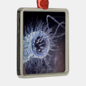 Structuur van een helicobacter pylori-cel metalen ornament (Rechts)