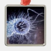 Structuur van een helicobacter pylori-cel metalen ornament (Voorkant)