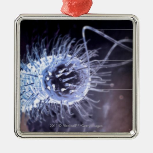 Structuur van een helicobacter pylori-cel metalen ornament (Voorkant)