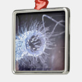 Structuur van een helicobacter pylori-cel metalen ornament (Links)