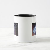 Structuur van een helicobacter pylori-cel mok (Midden)