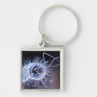 Structuur van een helicobacter pylori-cel sleutelhanger