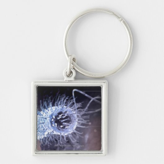 Structuur van een helicobacter pylori-cel sleutelhanger (Voorkant)
