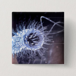 Structuur van een helicobacter pylori-cel vierkante button 5,1 cm