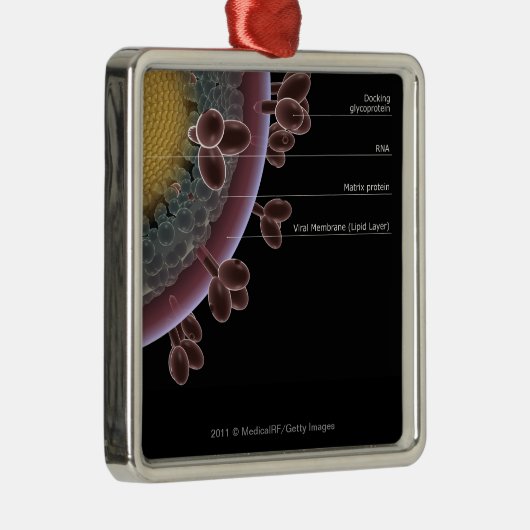 Structuur van een HIV-cel Metalen Ornament (Rechts)