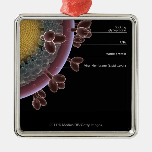 Structuur van een HIV-cel Metalen Ornament (Voorkant)