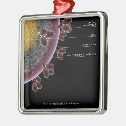 Structuur van een HIV-cel Metalen Ornament (Links)