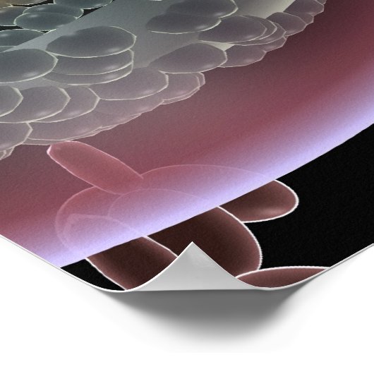 Structuur van een HIV-cel Poster (Hoek)