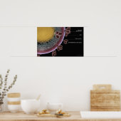 Structuur van een HIV-cel Poster (Keuken)