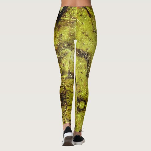 Structuur van halfedelstenen voor de textuur van e leggings (Achterkant)