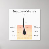 Structuur van het haar canvas afdruk (Voorkant)