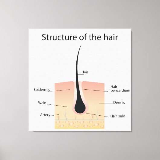 Structuur van het haar canvas afdruk (Voorkant)