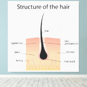 Structuur van het haar canvas afdruk (Insitu (Houten vloer))