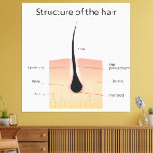Structuur van het haar canvas afdruk (Insitu (Woonkamer))
