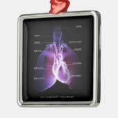 Structuur van het hart en de longen metalen ornament (Links)