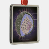 Structuur van het herpesvirus metalen ornament (Rechts)