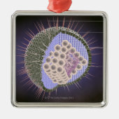 Structuur van het herpesvirus metalen ornament (Voorkant)