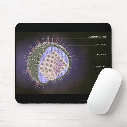 Structuur van het herpesvirus muismat (Met muis)