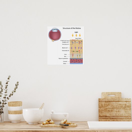 Structuur van het Retina-Poster Poster (Keuken)