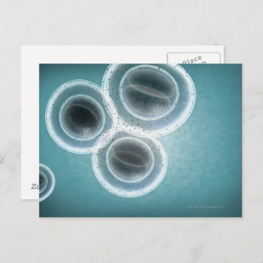 Structuur van MRSA Briefkaart (Voorkant / Achterkant)