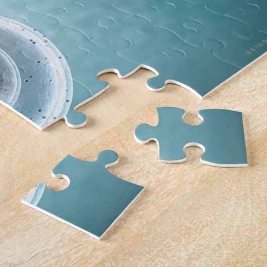 Structuur van MRSA Legpuzzel (Zijkant)