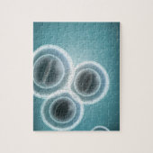 Structuur van MRSA Legpuzzel (Verticaal)