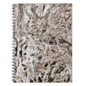 Structuur van wortel notitieboek (Voorkant)