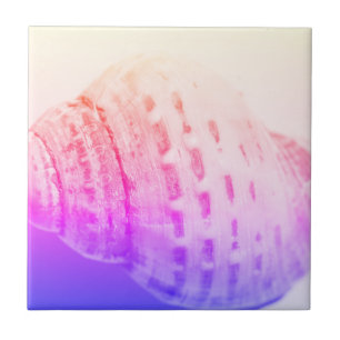 Structuureffecten zee Ocean Shell Tegeltje