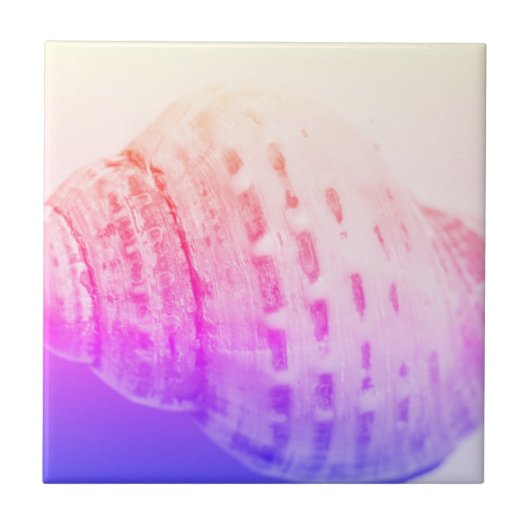 Structuureffecten zee Ocean Shell Tegeltje (Voorkant)