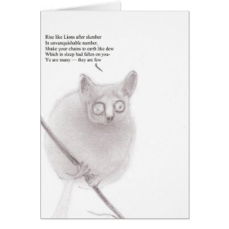 Struik baby anarchist