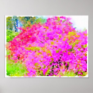 Struik Bougainvillea, schilderij van waterverf Poster