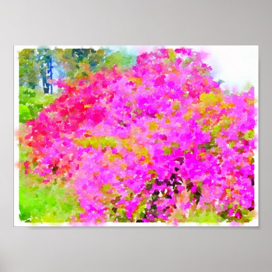 Struik Bougainvillea, schilderij van waterverf Poster (Voorkant)