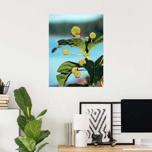 Struik Button op de Mississippi Poster (Thuiskantoor)