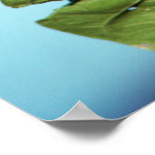 Struik Button op de Mississippi Poster (Hoek)