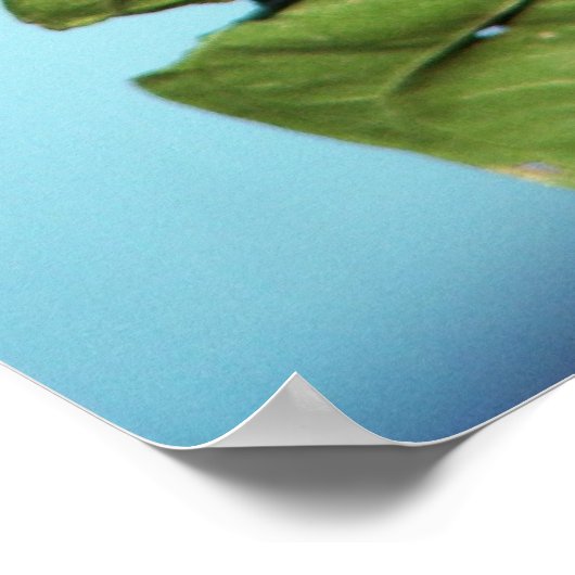 Struik Button op de Mississippi Poster (Hoek)