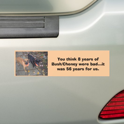 Struik/Cheney-graven Bumpersticker (Op auto)