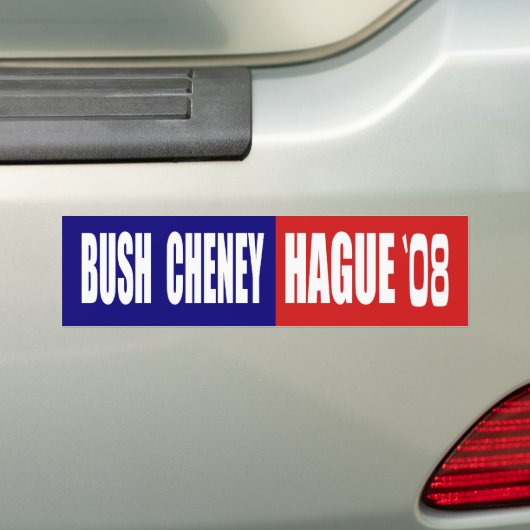 STRUIK CHENEY / HAGUE 08 BUMPERSTICKER (Op auto)