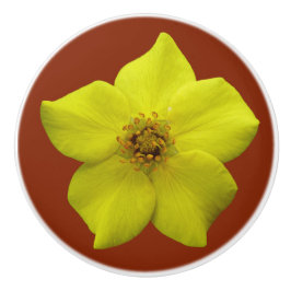 Struik Cinquefoil #1 Keramische Knop