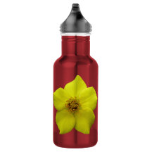 Struik Cinquefoil #1