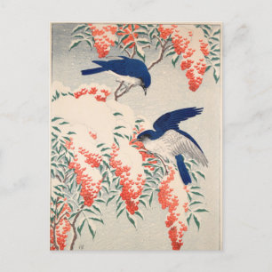 Struik- en vliegenvangers op sneeuw door Ohara Kos Briefkaart