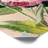 Struik Garden Green Soft roze rozen Poster (Hoek)