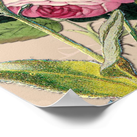 Struik Garden Green Soft roze rozen Poster (Hoek)