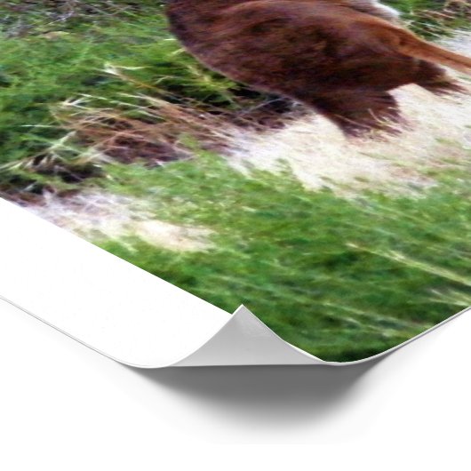 Struik Kangaroo Print (Hoek)