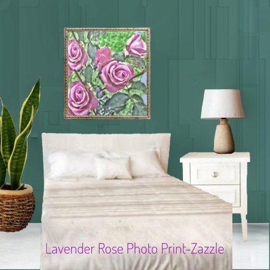 Struik lavender Roos Foto Afdruk