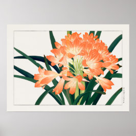 Struik Lily, Clivia miniata, Flowers, Tanigami Kon Poster