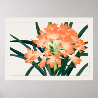 Struik Lily, Clivia miniata, Flowers, Tanigami Kon Poster